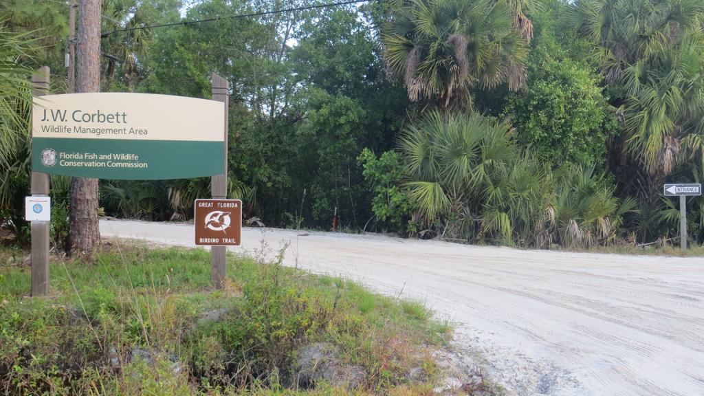1024x576-iw4fhS.tmp_ - Lake Worth Homes
