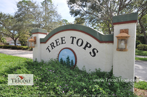 Tree Tops