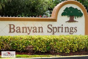Banyan Springs
