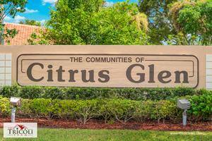 Citrus Park