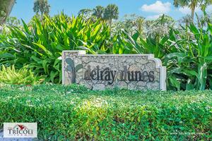 Delray Dunes
