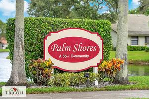 Palm Shores Boynton Beach Real Estate For Sale