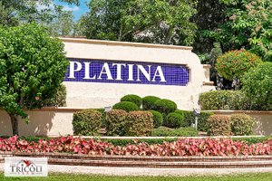 Platina homes for sale