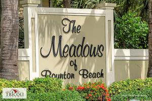 The Meadows homes for sale