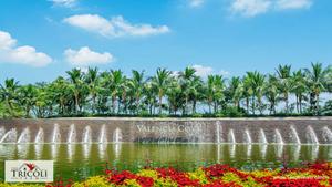 Valencia Cove homes for sale