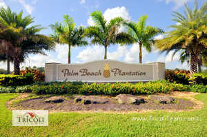 Palm Beach Plantation Royal Palm Beach Real Estate For Sale