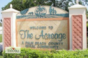 The Acreage Royal Palm Beach Real Estate For Sale