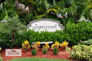 Sagewood