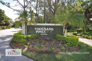 Thousand Pines Estates