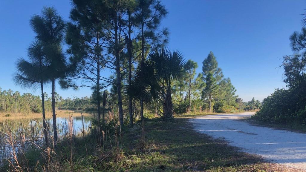 1024x576-hc1BMitmp_ - Lake Worth Homes