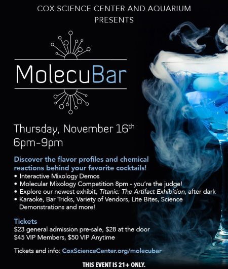 molecubar-_eblast_2023-e1698850885495-YBnGFFtmp_ - Lake Worth Homes