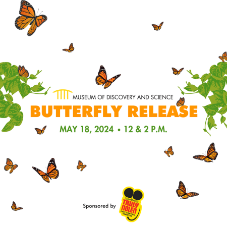 Butterflyrelease-e1714396552744-AJjuF8tmp_ - Lake Worth Homes