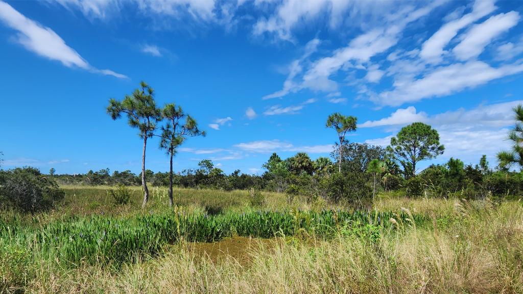 1024x576-zgMuyOtmp_ - Lake Worth Homes