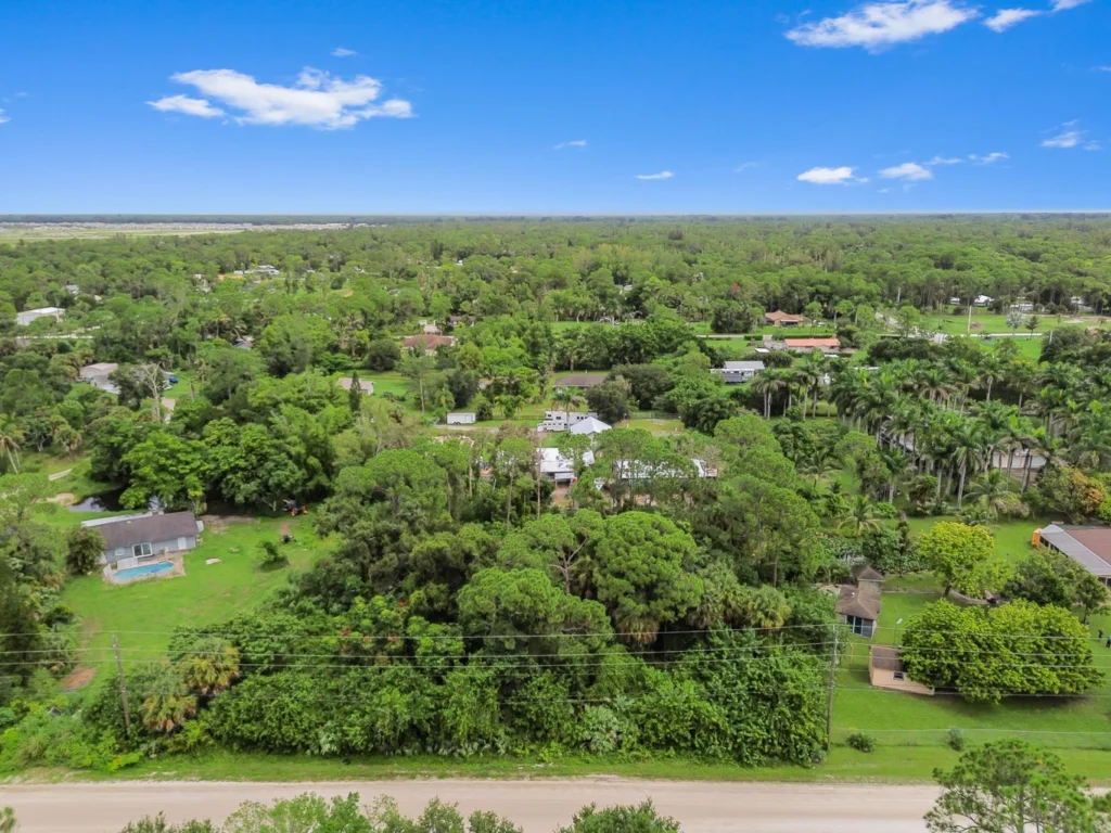 DCIM100MEDIADJI_0571JPG - Lake Worth Homes - Lake Worth Homes Aerial view of a green suburban neighborhood with leafy trees, scattered houses, and a road at the bottom; a pool is visible in a yard on the left.