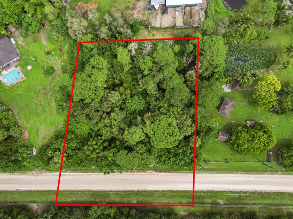 DCIM100MEDIADJI_0579JPG - Lake Worth Homes - Lake Worth Homes Aerial view of a densely treed lot outlined in red, bordered by a road at the bottom and residential properties to the right and top sides.