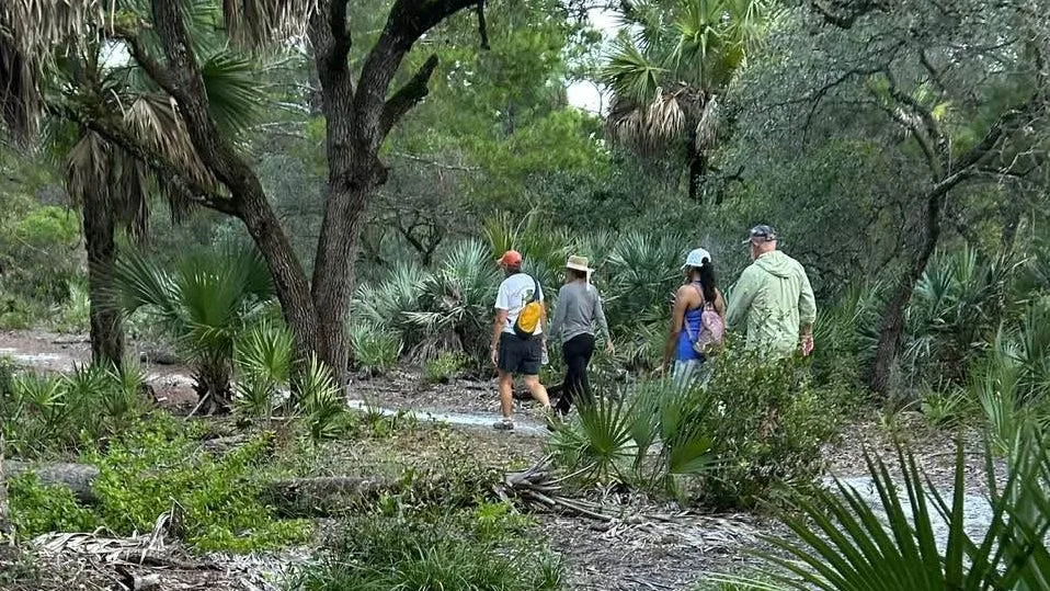 Five hikers walk along a dirt trail through a sunny, palm-filled forest, each wearing hats and backpacks.
