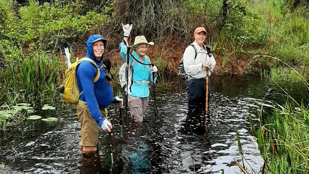 Three hikers wading through a shallow swamp, wearing backpacks and hiking poles, posing and smiling at the camera.
