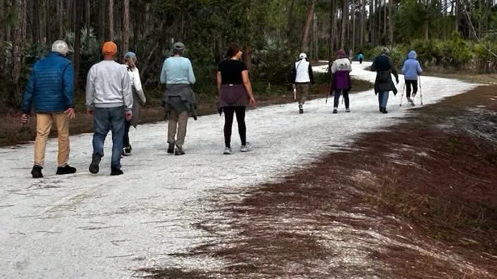 Group of people walking on a gravel forest trail with trees on both sides, seen from behind.
